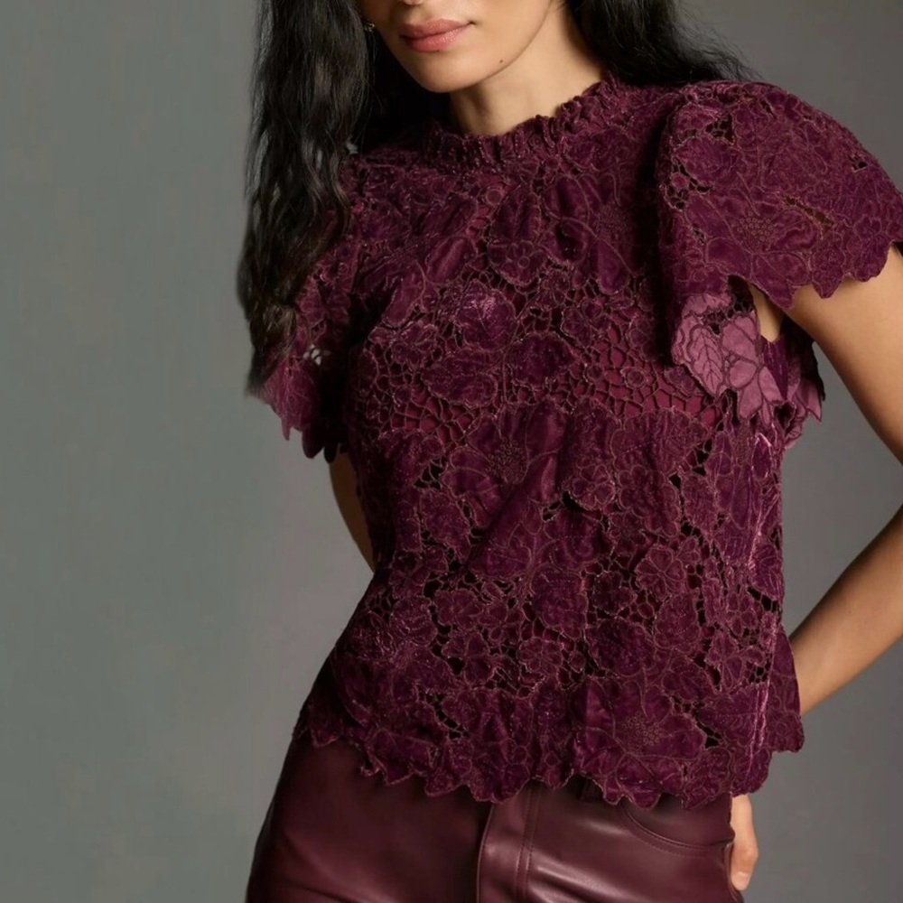 Elegant Lace Women Top - Purple